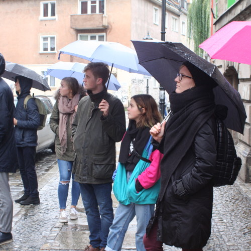 Guided tour through Wrocław.