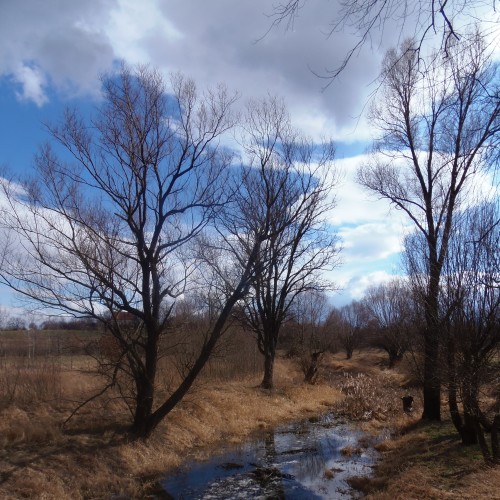 P3130033-min